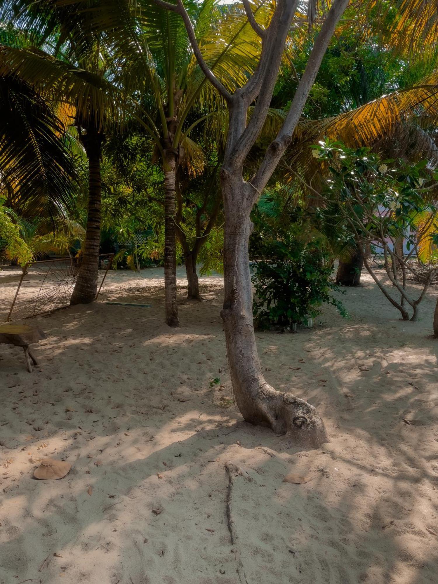 Anda Di Hows Hostel Placencia Exterior photo