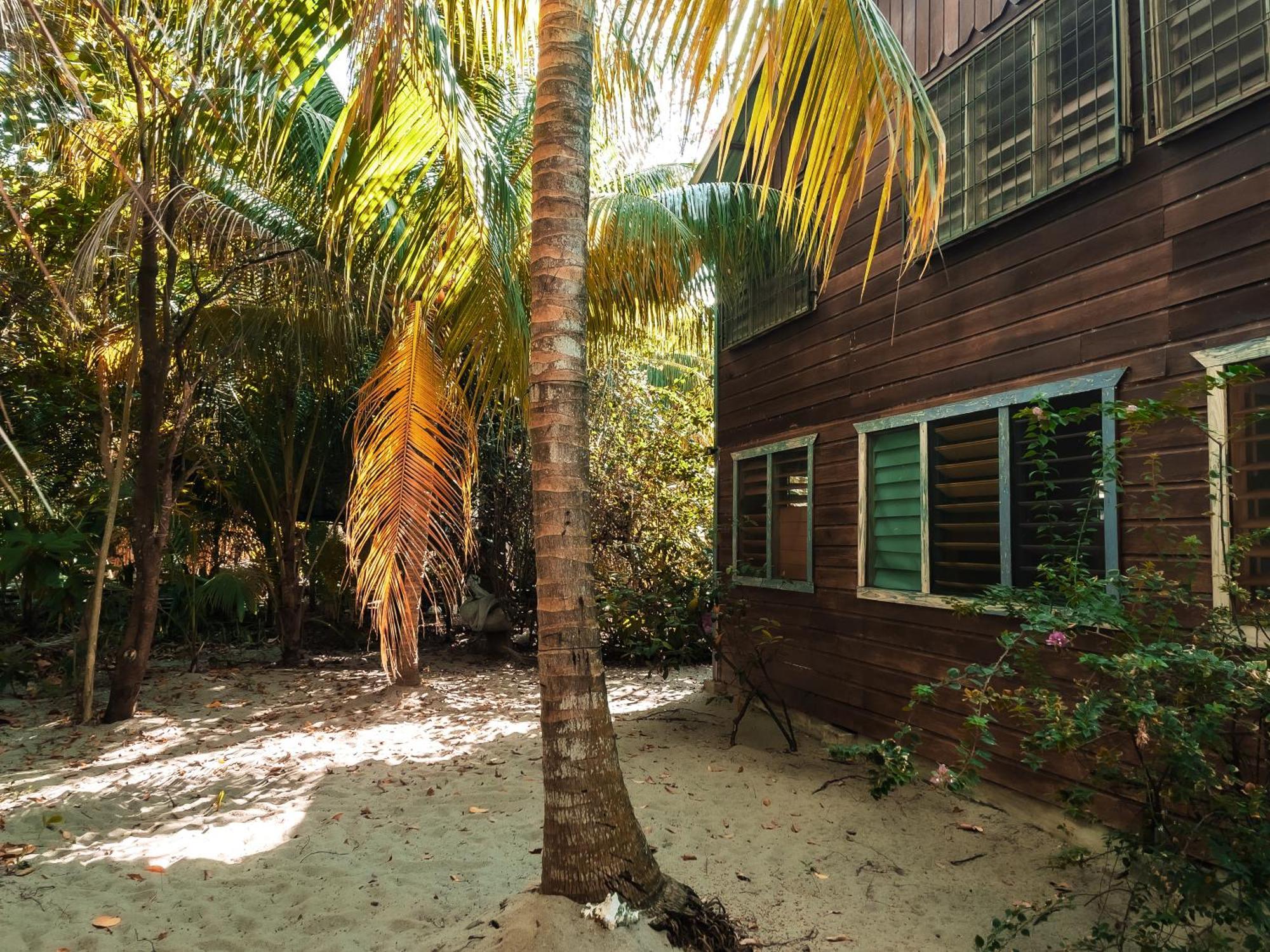 Anda Di Hows Hostel Placencia Exterior photo