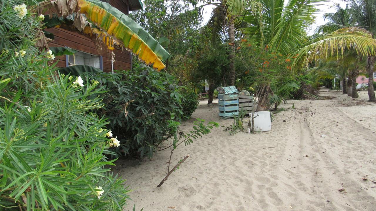 Anda Di Hows Hostel Placencia Exterior photo